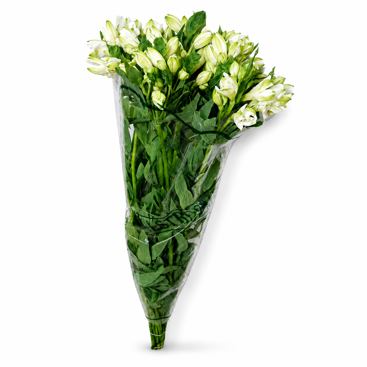Alstromeria-Nacional-Extra-Blanco