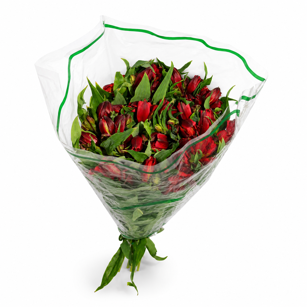 Alstromeria-Nacional-Extra-Rojo_1