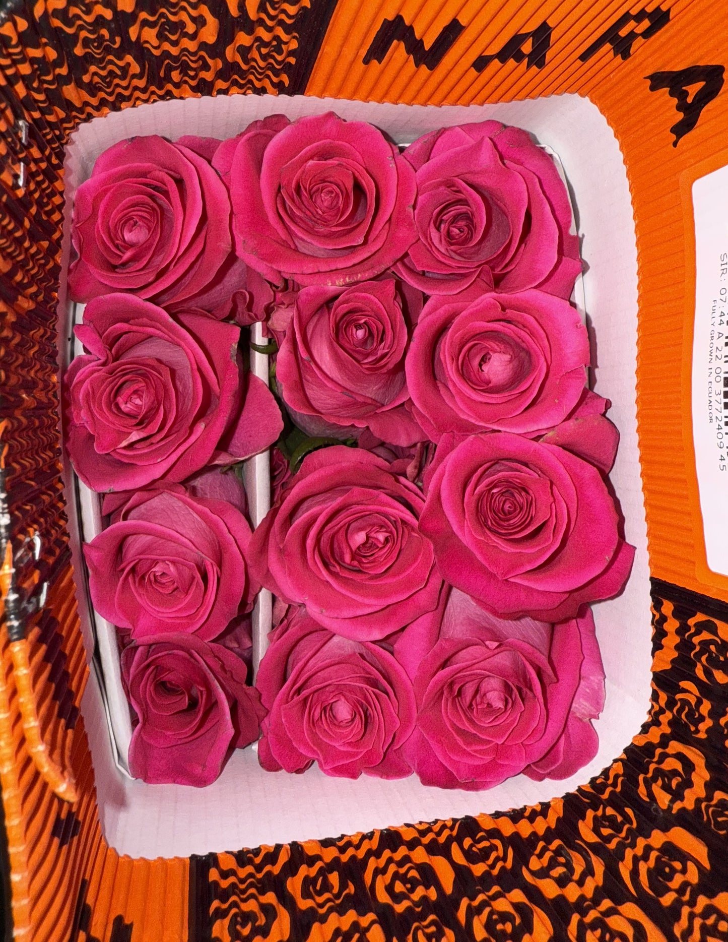 Rosa Fucsia Topaz