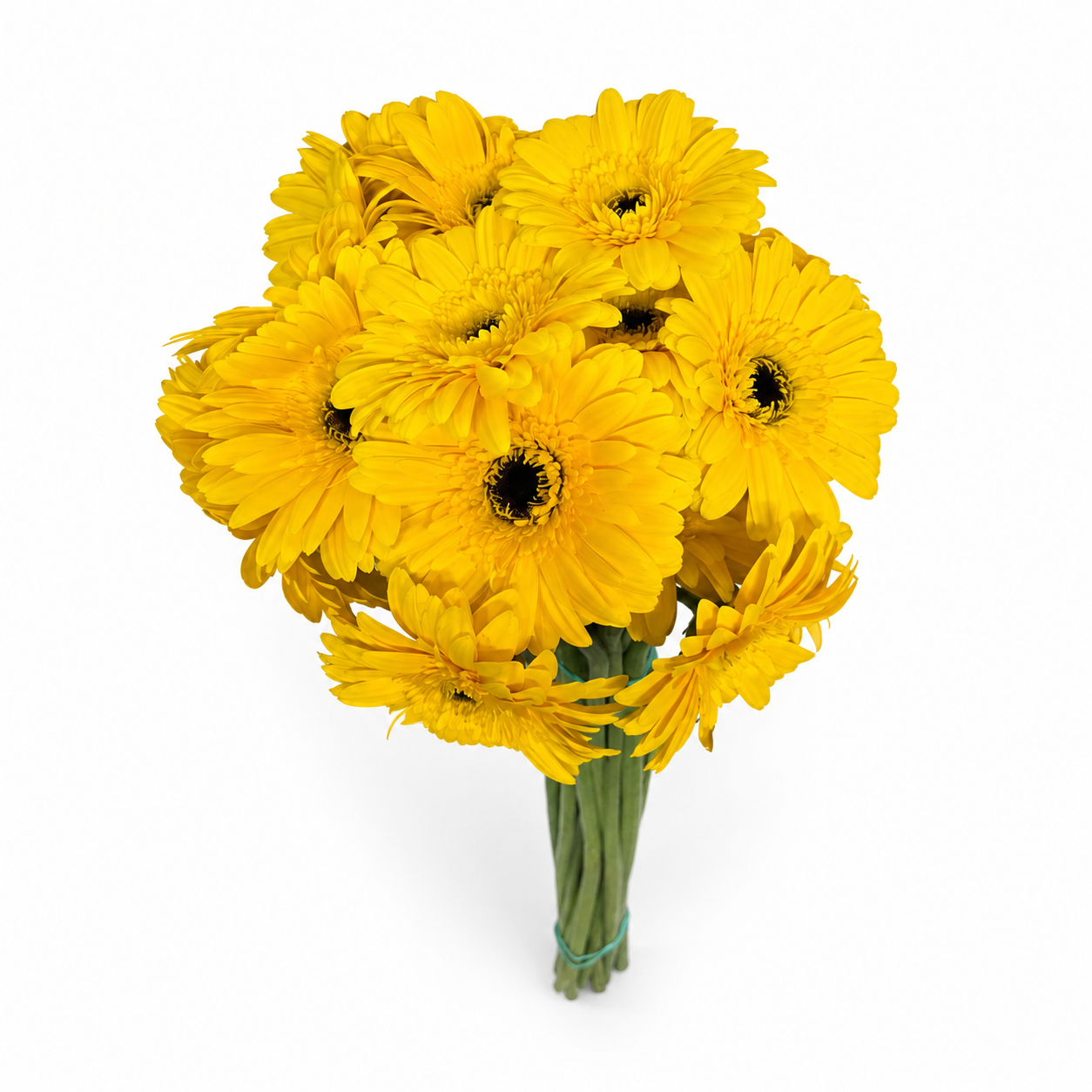 Gerbera amarilla Extra · 60 cm · Nacional