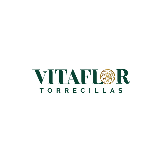 Rebranding en el Sector de la Flor Cortada B2B: De Flores Torrecillas a Vitaflor by Torrecillas, una Evolución Estratégica