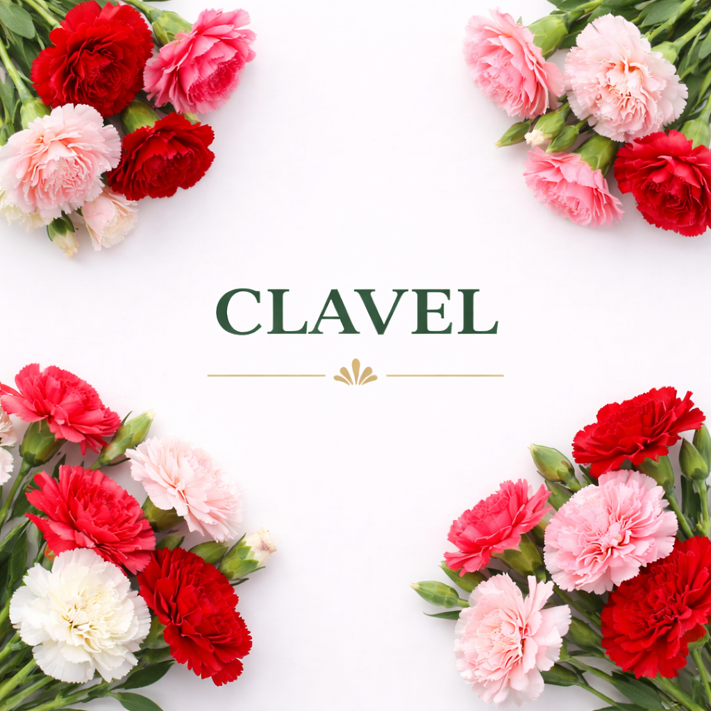 Clavel