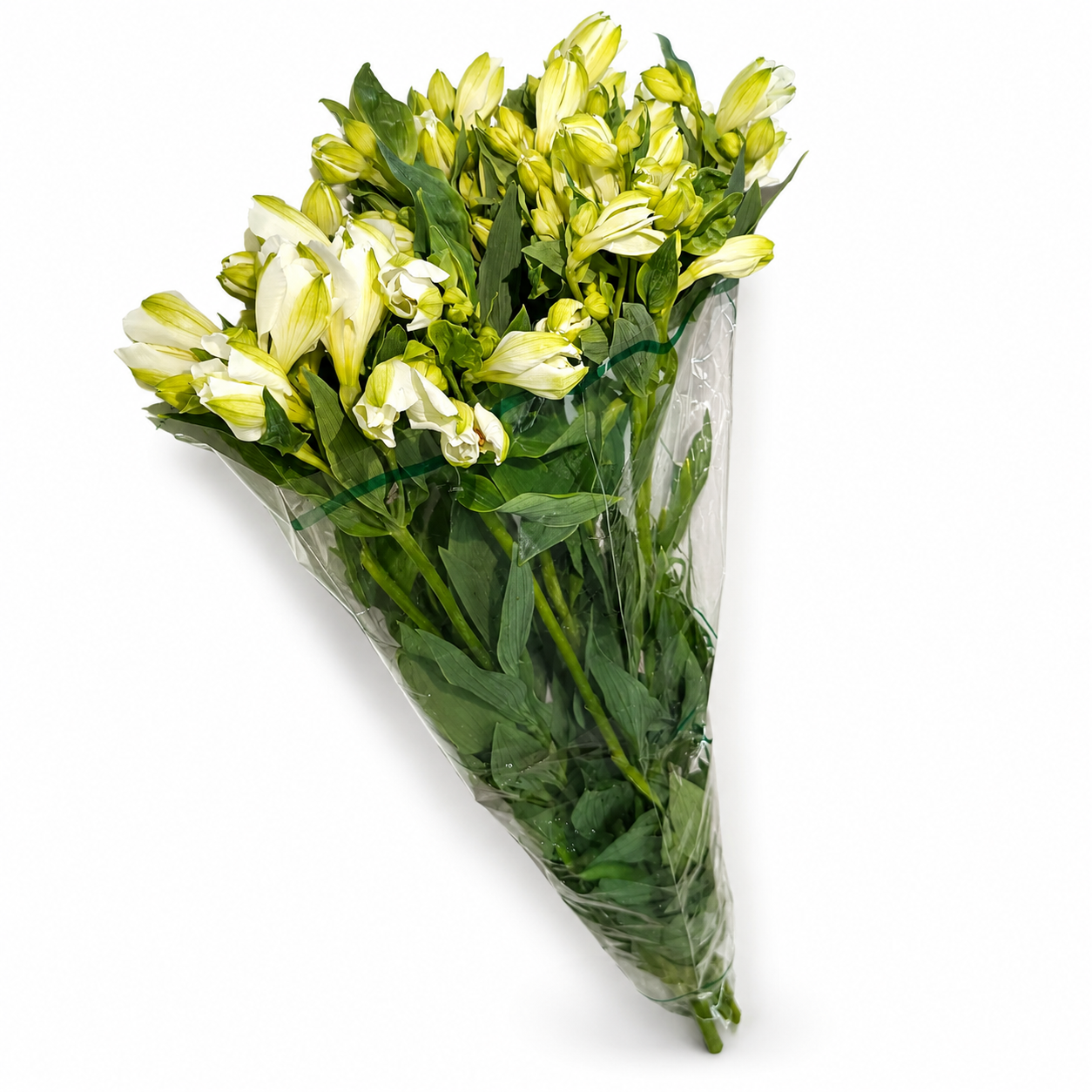Alstromeria-Nacional-Extra-Blanco_1