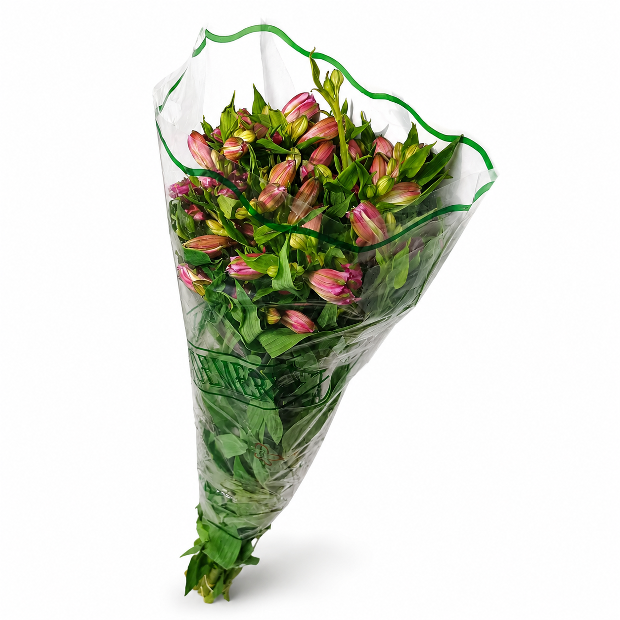 Alstromeria-Nacional-Extra-Morada