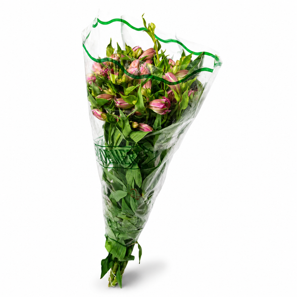 Alstromeria-Nacional-Extra-Morada_1