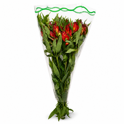 Alstromeria-Nacional-Extra-Rojo