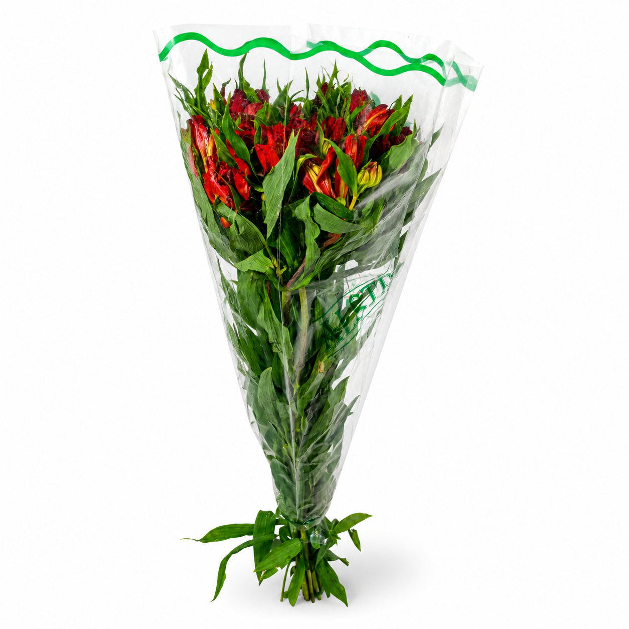 Alstromeria-Nacional-Extra-Rojo_2