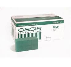 CAJA ESPONJA OASIS