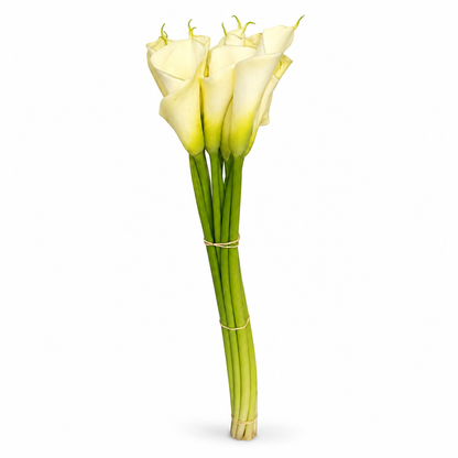 Calla blanca · 70 cm · Nacional