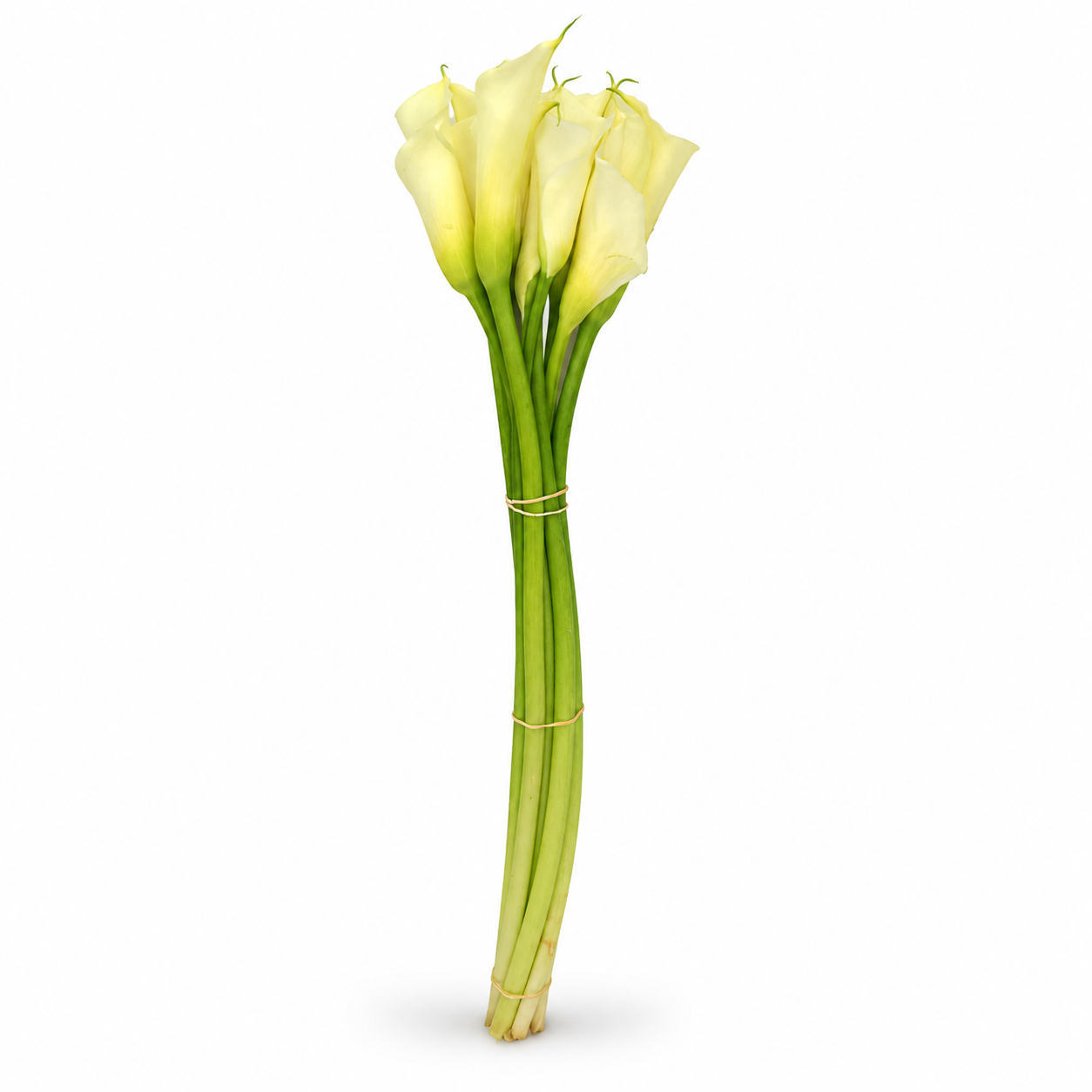 Calla blanca · 70 cm · Nacional