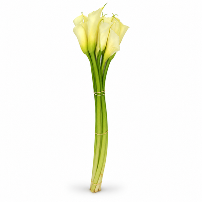 Calla blanca · 70 cm · Nacional