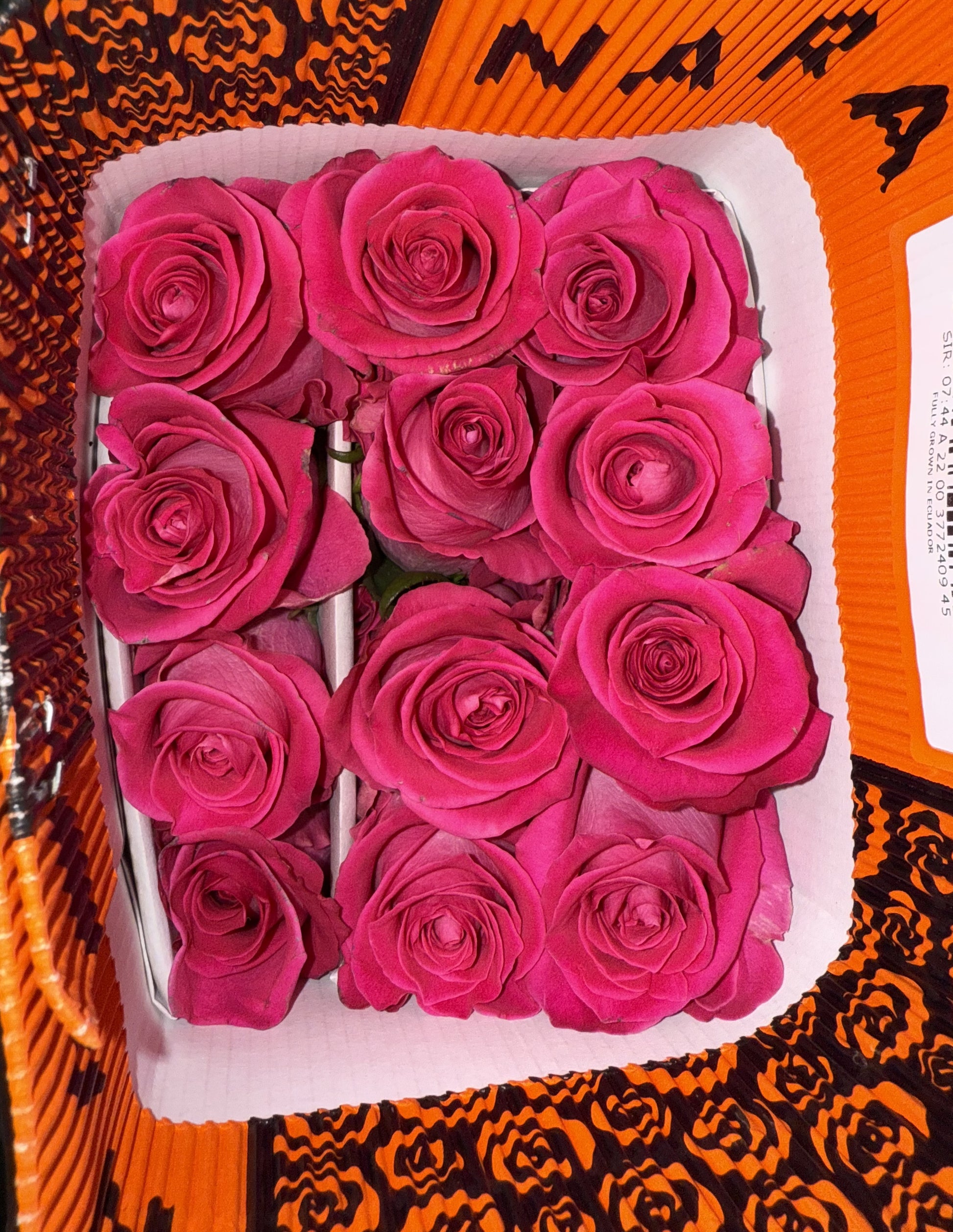Rosa Fucsia Topaz