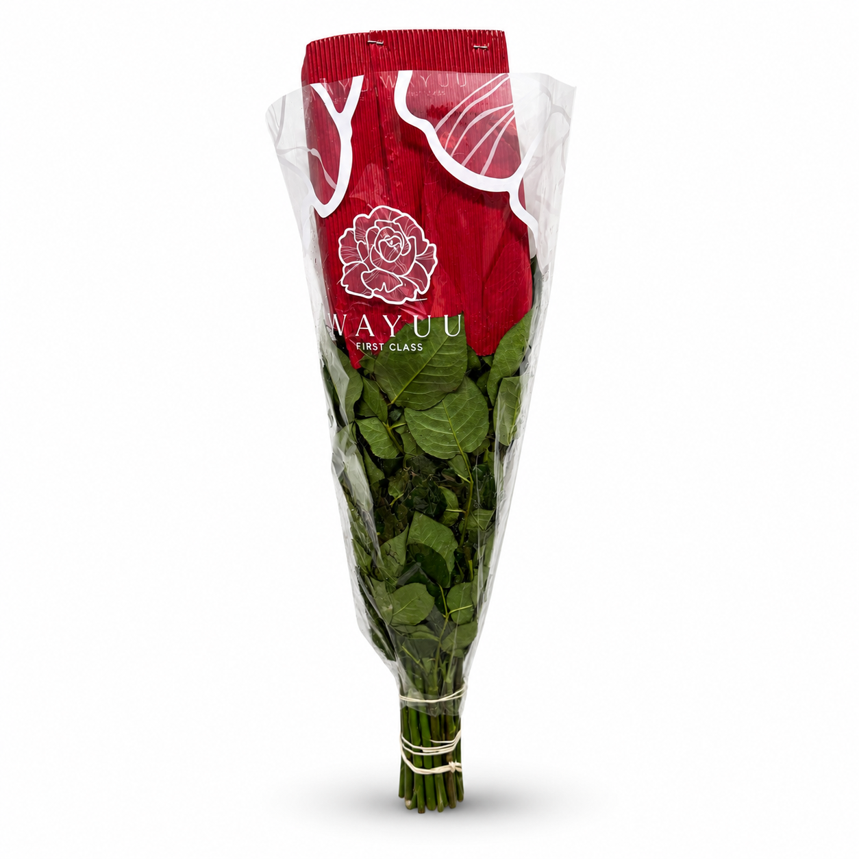 Rosa Mondial Blanco
