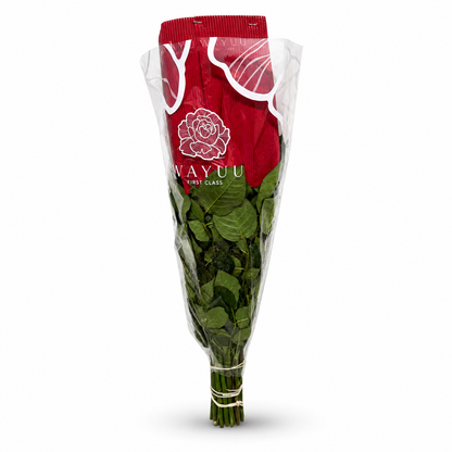 Rosa Mondial Blanco