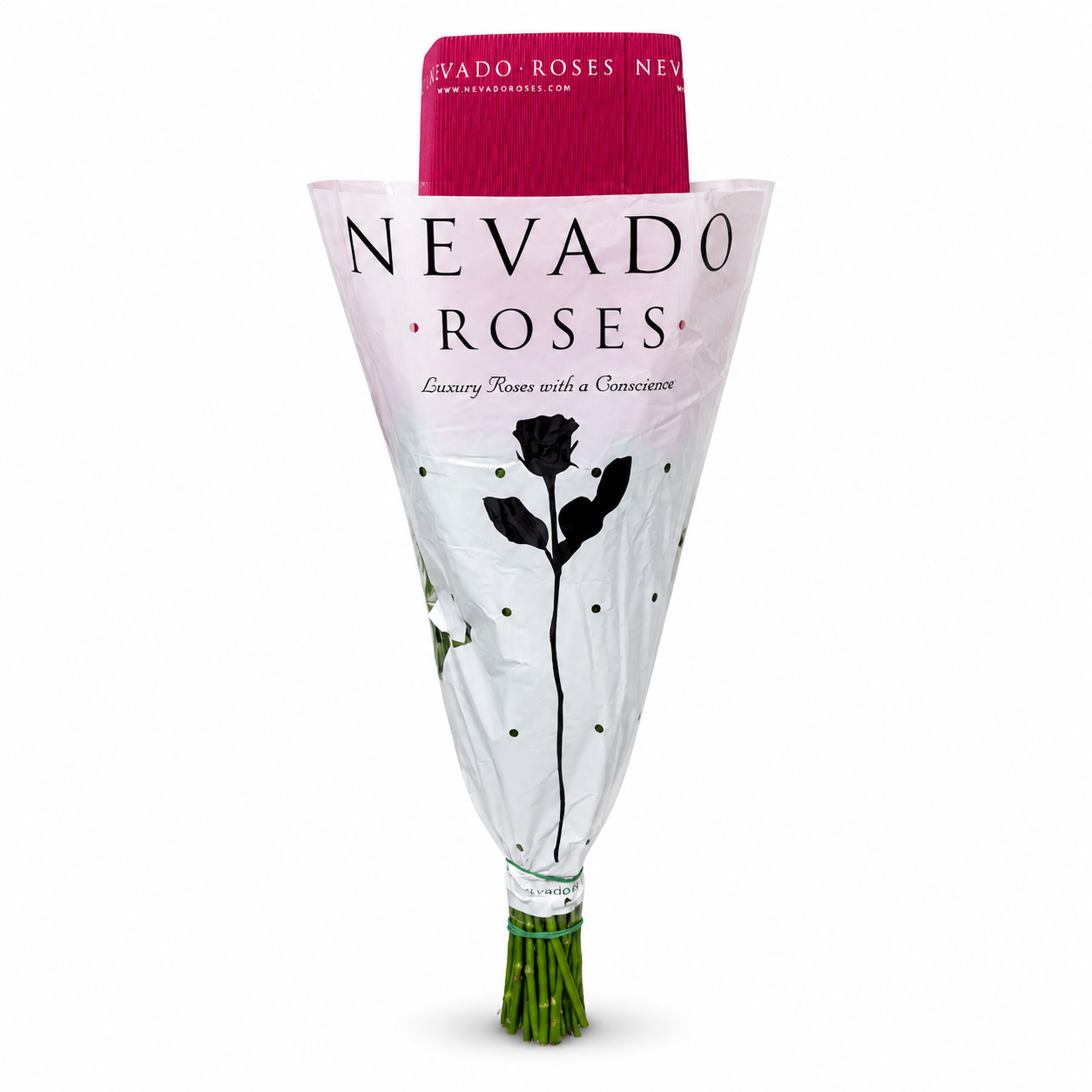 Rosas Pink Mondial