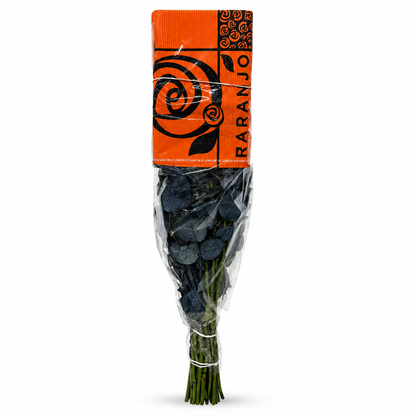 Rosa tenida azul