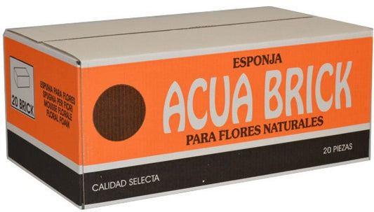caja-de-esponja-acua-brick