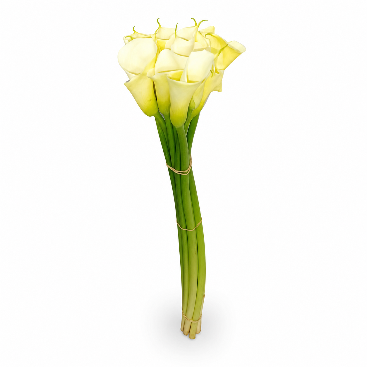 Calla blanca · 70 cm · Nacional