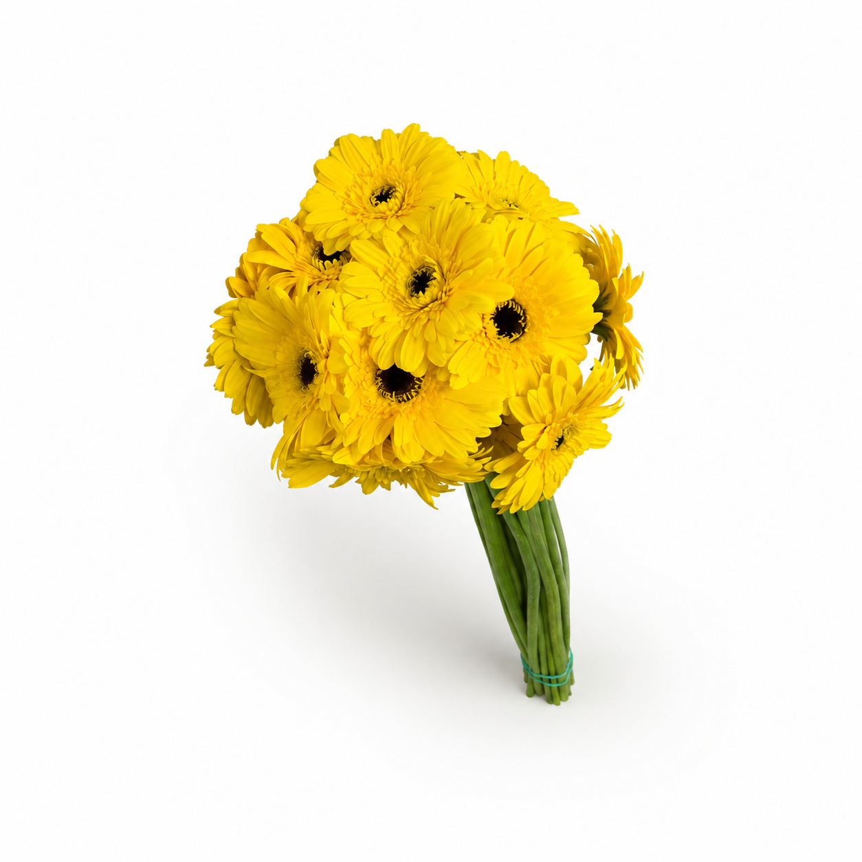Gerbera amarilla Extra · 60 cm · Nacional