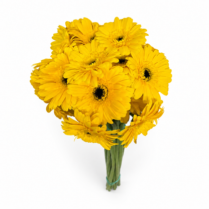 Gerbera amarilla Extra · 60 cm · Nacional