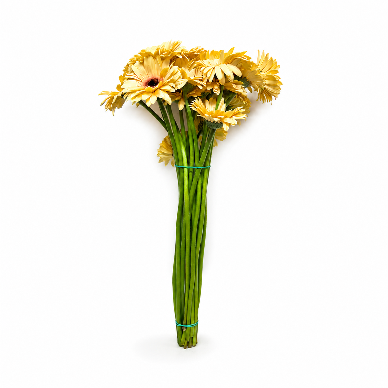 Gerbera naranja Extra · 60 cm · Nacional