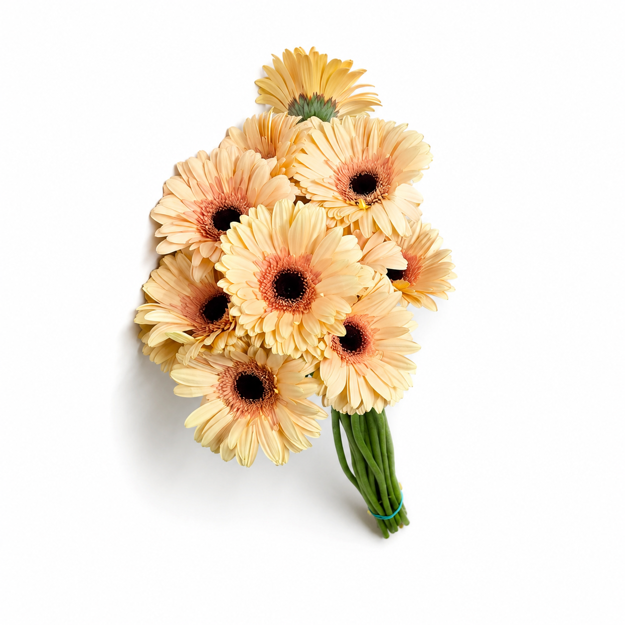 Gerbera naranja Extra · 60 cm · Nacional