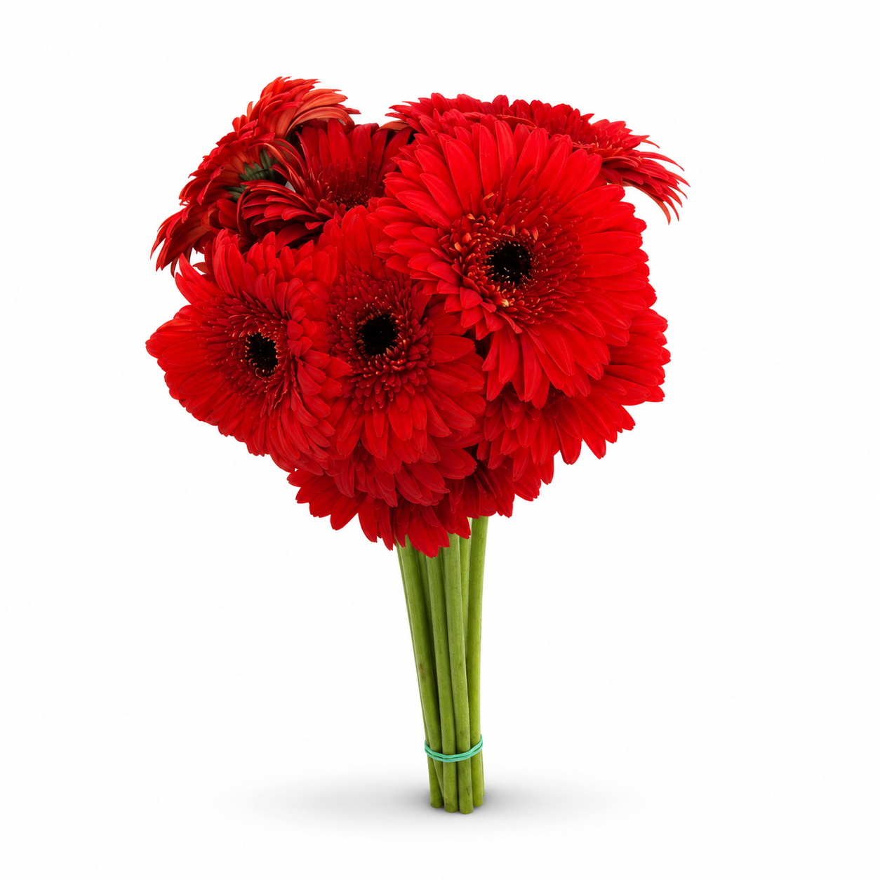 Gerbera roja Extra · 60 cm · Nacional