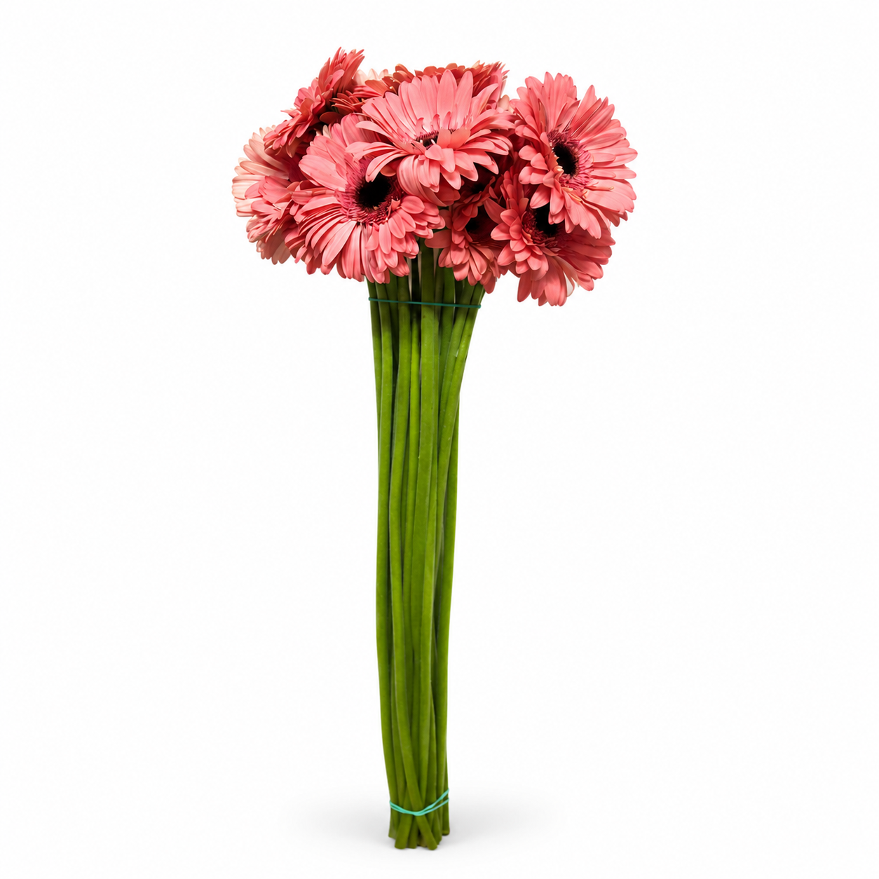 Gerbera rosa Extra · 60 cm · Nacional