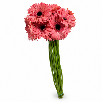 Gerbera rosa Extra · 60 cm · Nacional