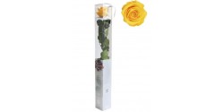 rosa-estabilizada-standard-amarillo-54-cm