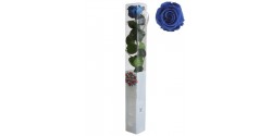 rosa-estabilizada-standard-azul-oscuro-54-cm