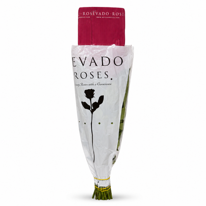 rosas explorer